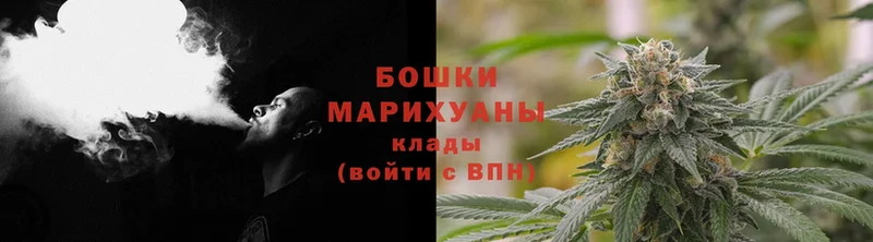 Каннабис SATIVA & INDICA  как найти   Енисейск 